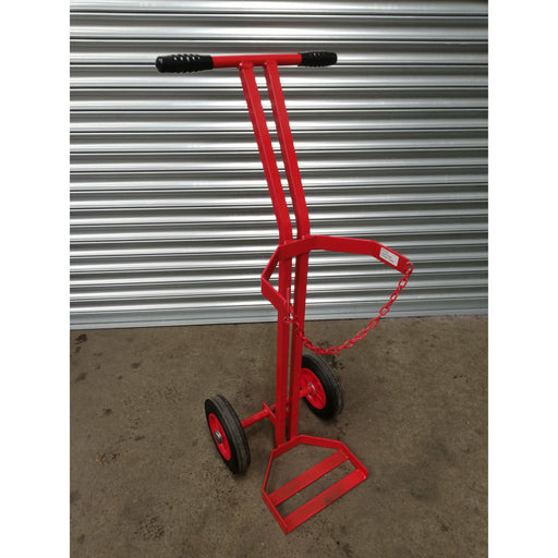 Large Single Cylinder Gas Trolley
